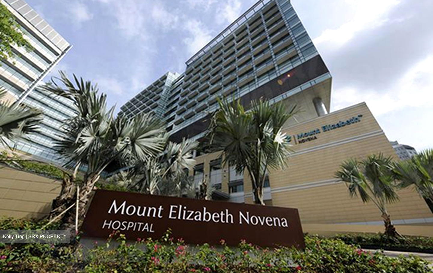 Mount Elizabeth Novena Hospital (D12), Retail #613671171